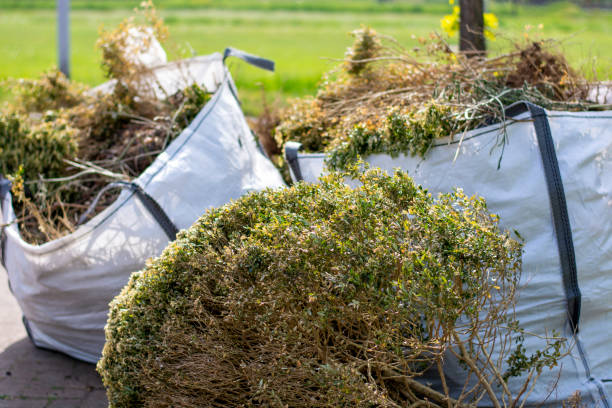 Professional Junk Removal Services in Grandwood Park, IL